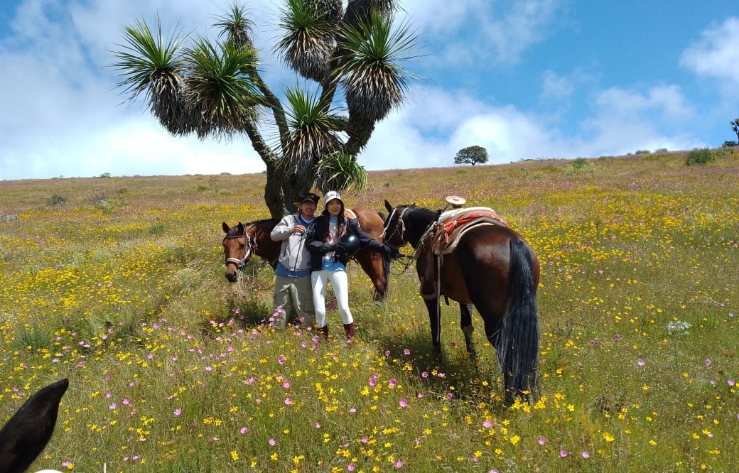 7-daagse paardrijtocht Ranch & Monarch Sanctuary - Mexico