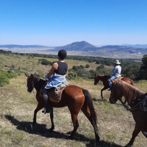 6-daagse paardrijtocht Hidalgo - Mexico - Afbeelding 26