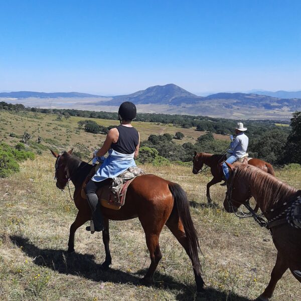 6-daagse paardrijtocht Hidalgo - Mexico