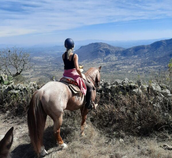 6-daagse paardrijtocht Hidalgo - Mexico
