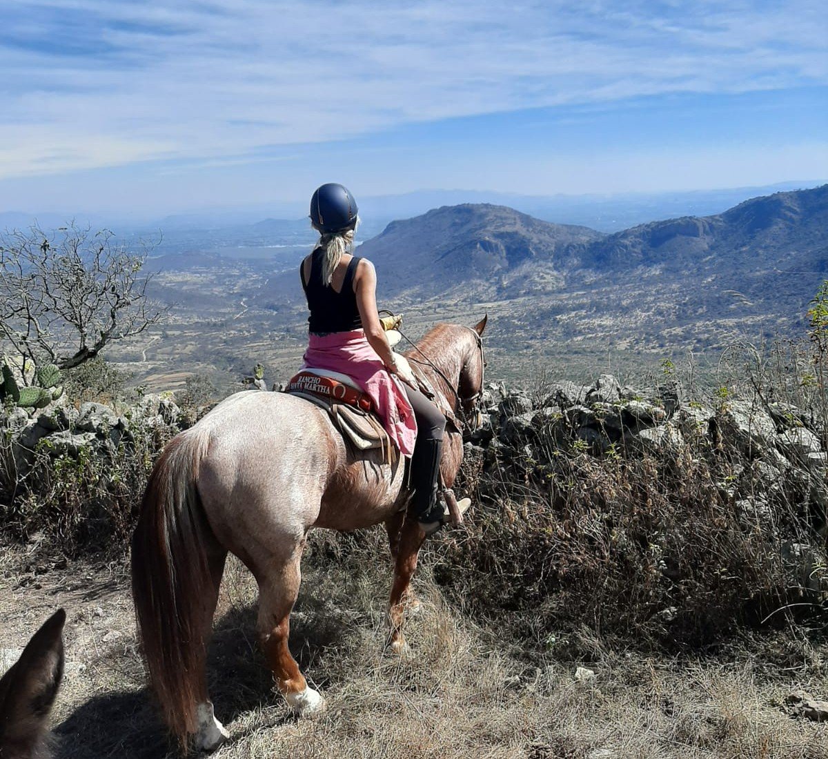 6-daagse paardrijtocht Hidalgo - Mexico - Afbeelding 1