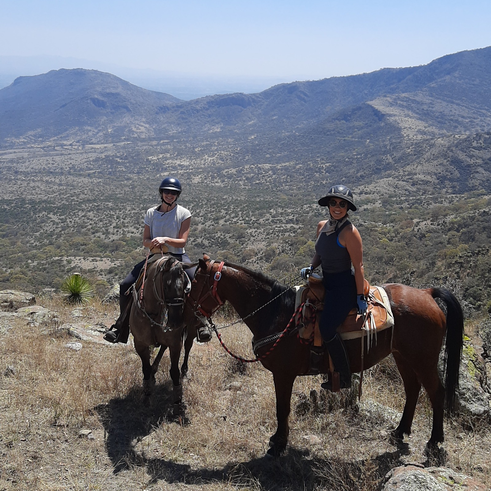 6-daagse paardrijtocht Hidalgo - Mexico - Afbeelding 14