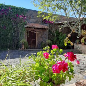 7-daagse paardrijtocht Ranch & Monarch Sanctuary - Mexico - Afbeelding 12