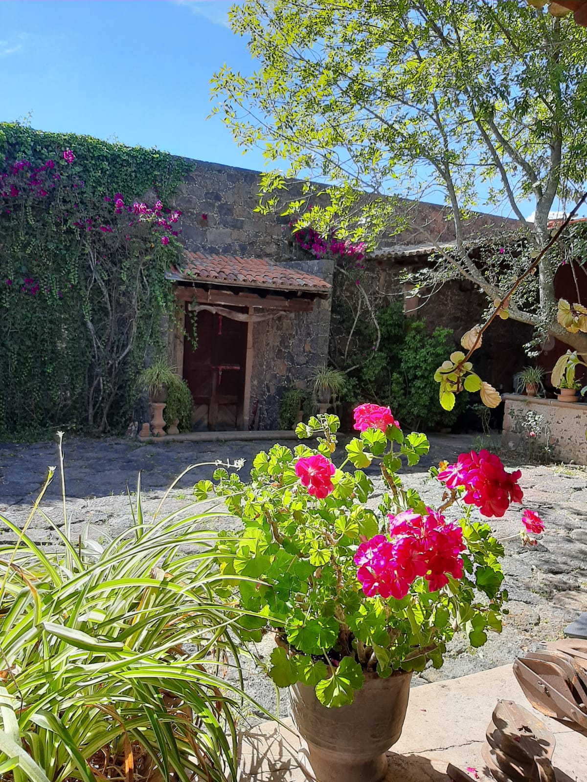 7-daagse paardrijtocht Ranch & Monarch Sanctuary - Mexico - Afbeelding 12