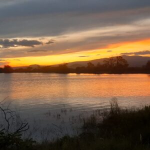 7-daagse paardrijtocht Ranch & Monarch Sanctuary - Mexico - Afbeelding 22