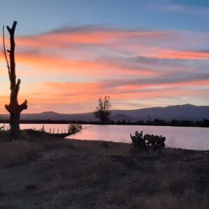 6-daagse paardrijtocht Hidalgo - Mexico - Afbeelding 24