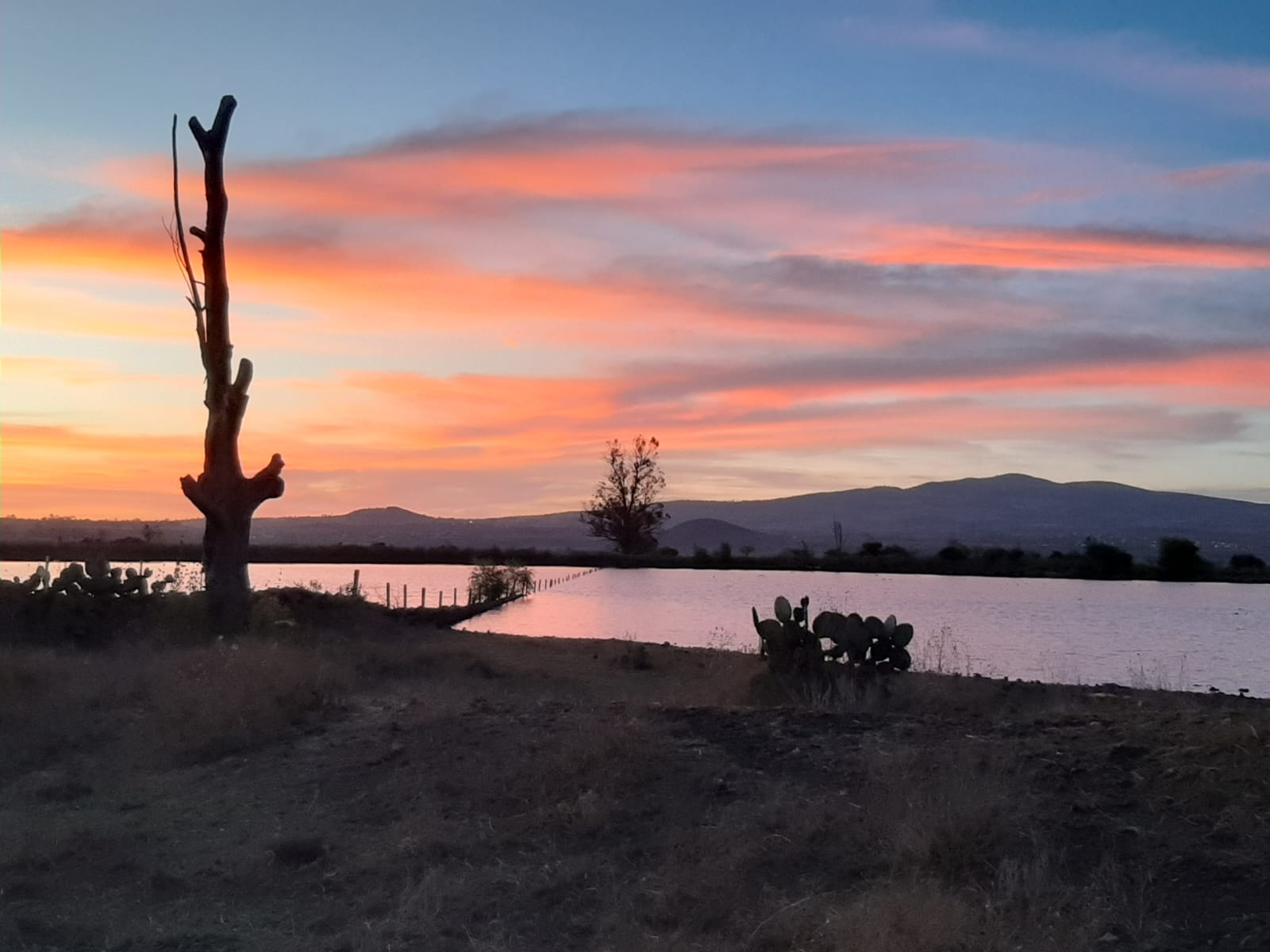 6-daagse paardrijtocht Hidalgo - Mexico - Afbeelding 24