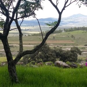 7-daagse paardrijtocht Ranch & Monarch Sanctuary - Mexico - Afbeelding 10