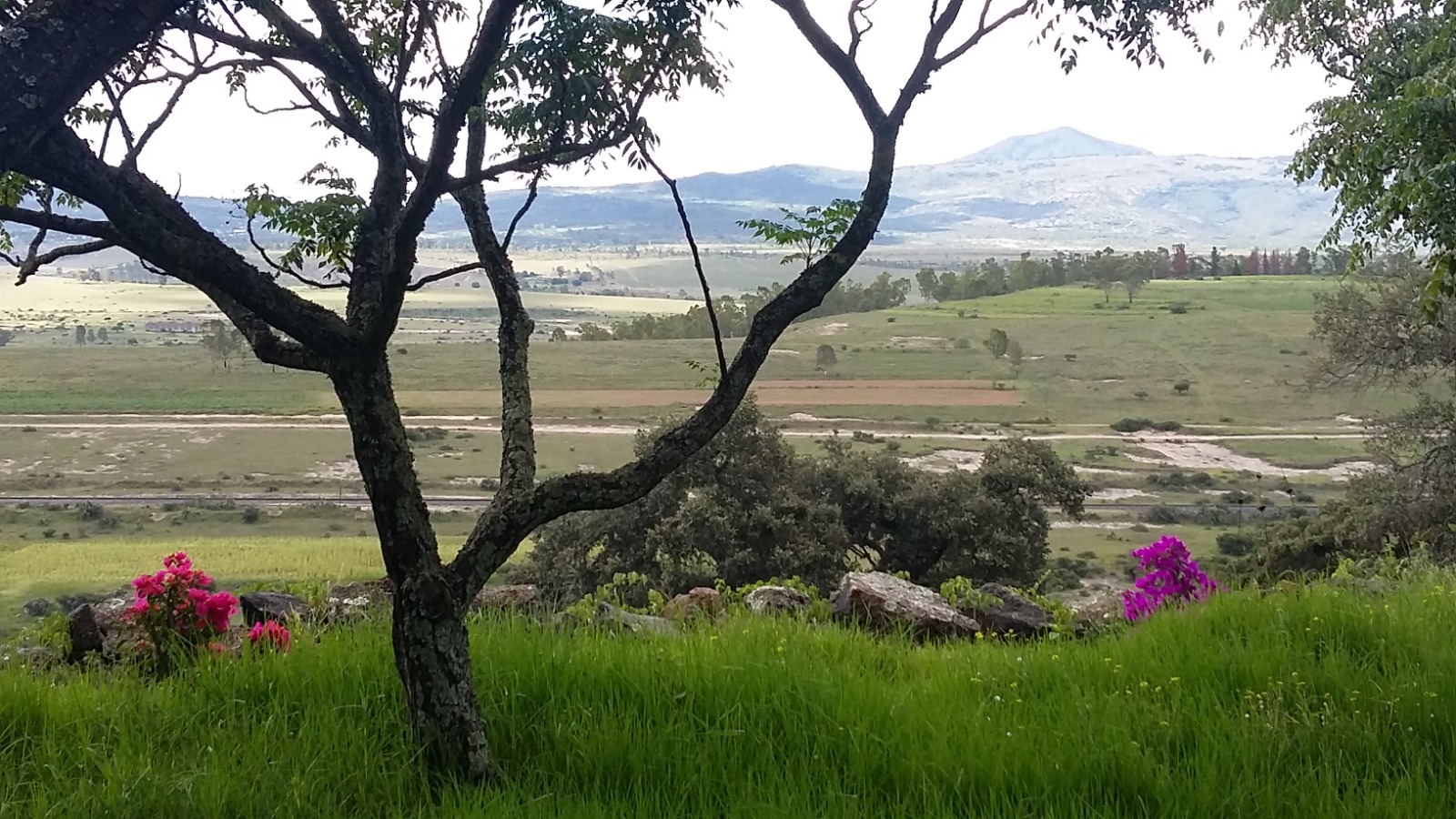 7-daagse paardrijtocht Ranch & Monarch Sanctuary - Mexico