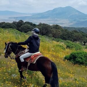 6-daagse paardrijtocht Hidalgo - Mexico - Afbeelding 7