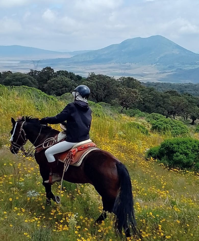 6-daagse paardrijtocht Hidalgo - Mexico - Afbeelding 7
