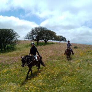 7-daagse paardrijtocht Ranch & Monarch Sanctuary - Mexico - Afbeelding 7
