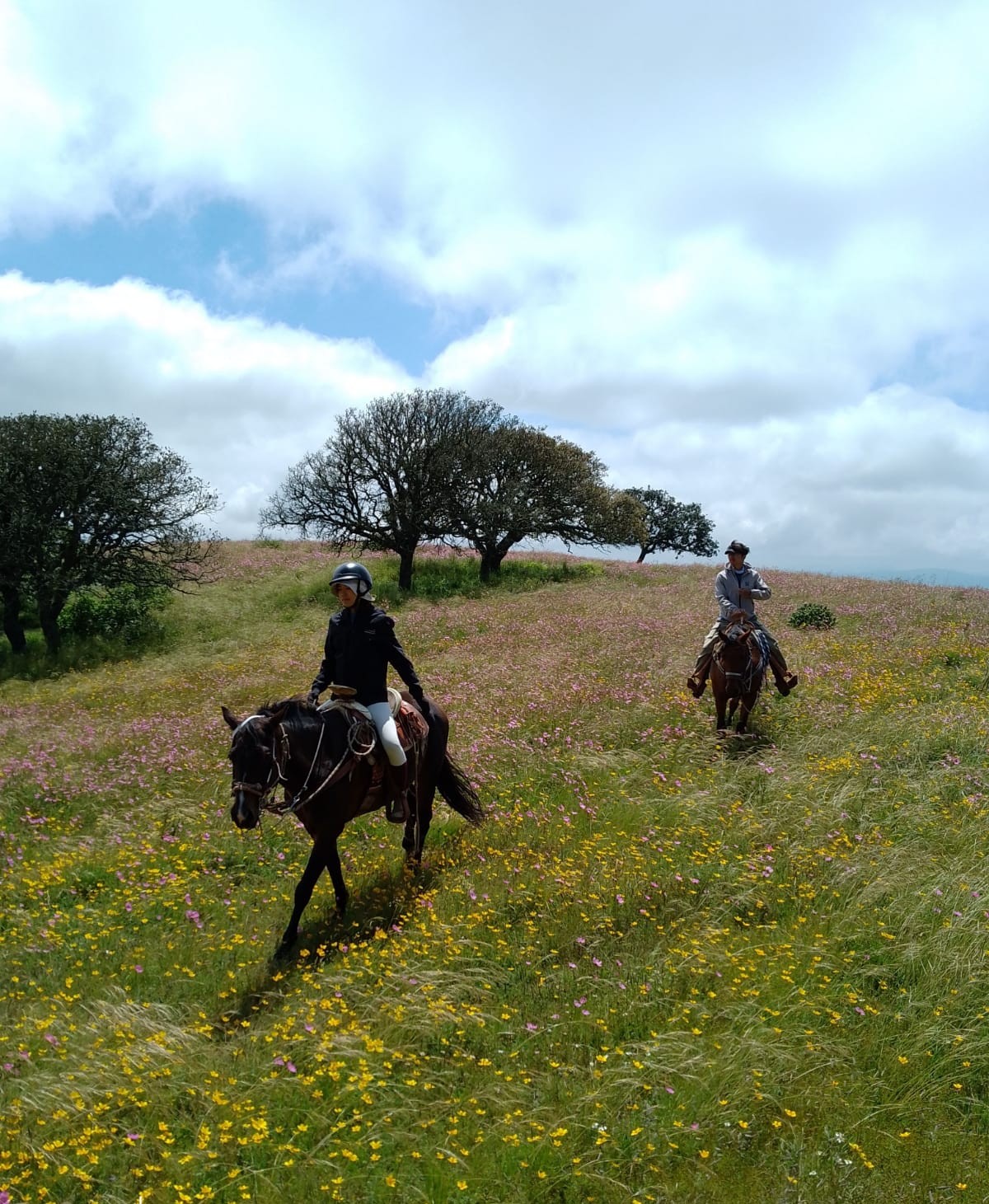 7-daagse paardrijtocht Ranch & Monarch Sanctuary - Mexico