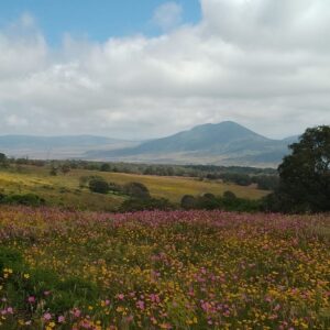 6-daagse paardrijtocht Hidalgo - Mexico - Afbeelding 22