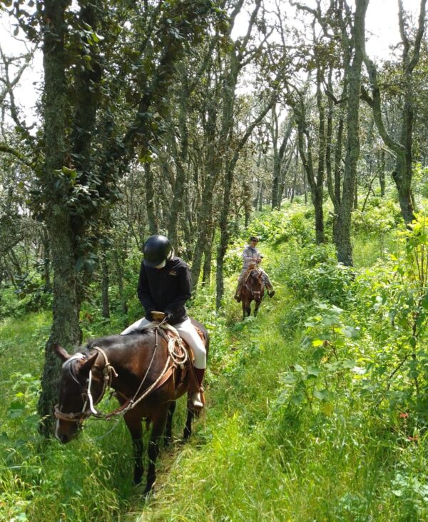6-daagse paardrijtocht Hidalgo - Mexico