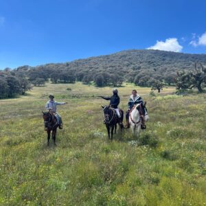 7-daagse paardrijtocht Ranch & Monarch Sanctuary - Mexico - Afbeelding 6