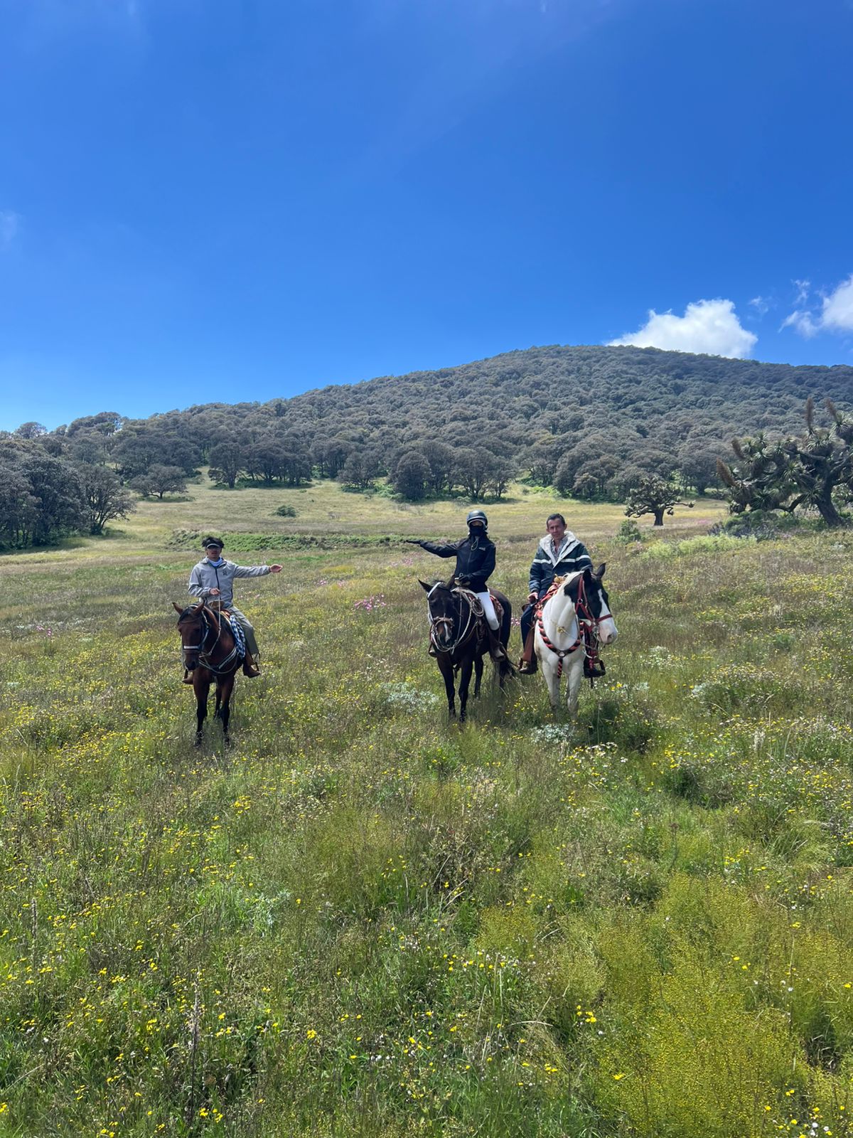 7-daagse paardrijtocht Ranch & Monarch Sanctuary - Mexico