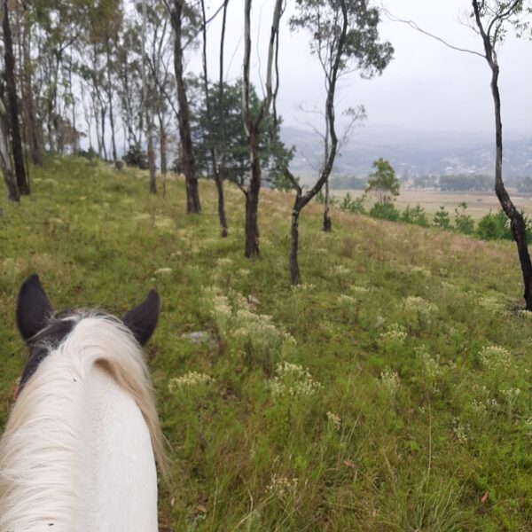 6-daagse paardrijtocht Hidalgo - Mexico