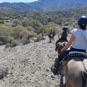 7-daagse paardrijtocht Ranch & Monarch Sanctuary - Mexico - Afbeelding 2