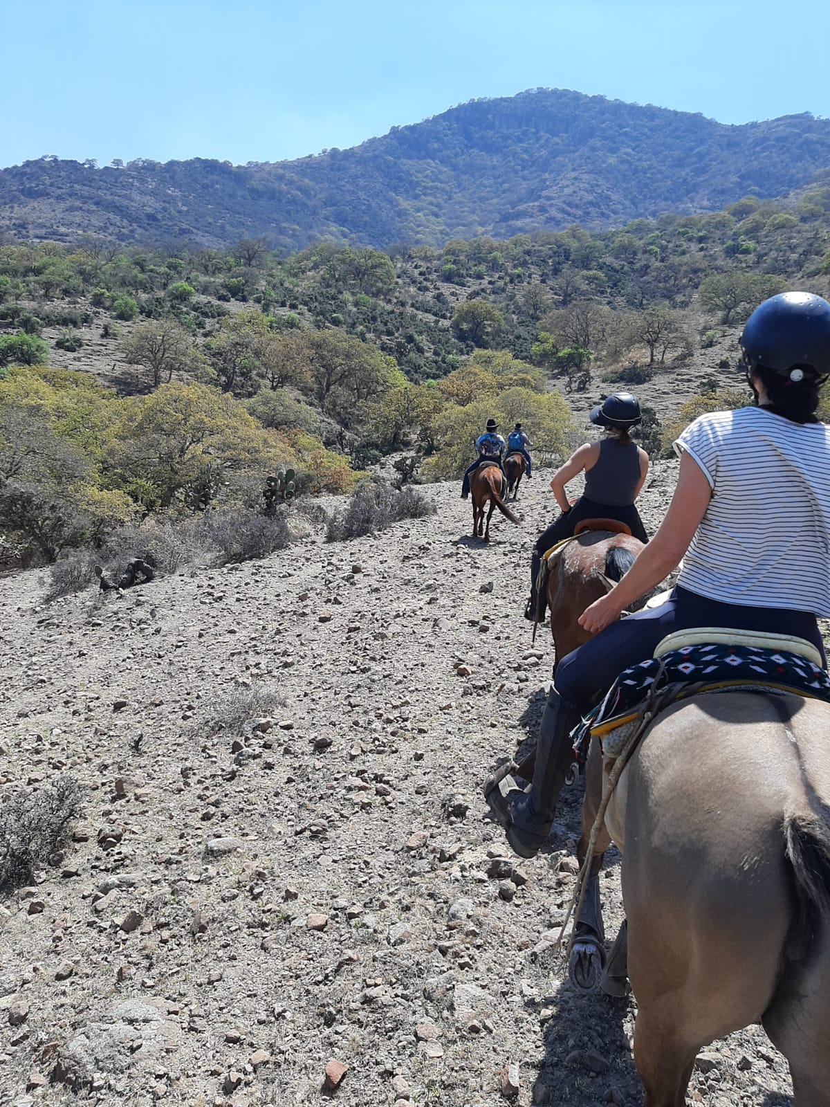 7-daagse paardrijtocht Ranch & Monarch Sanctuary - Mexico