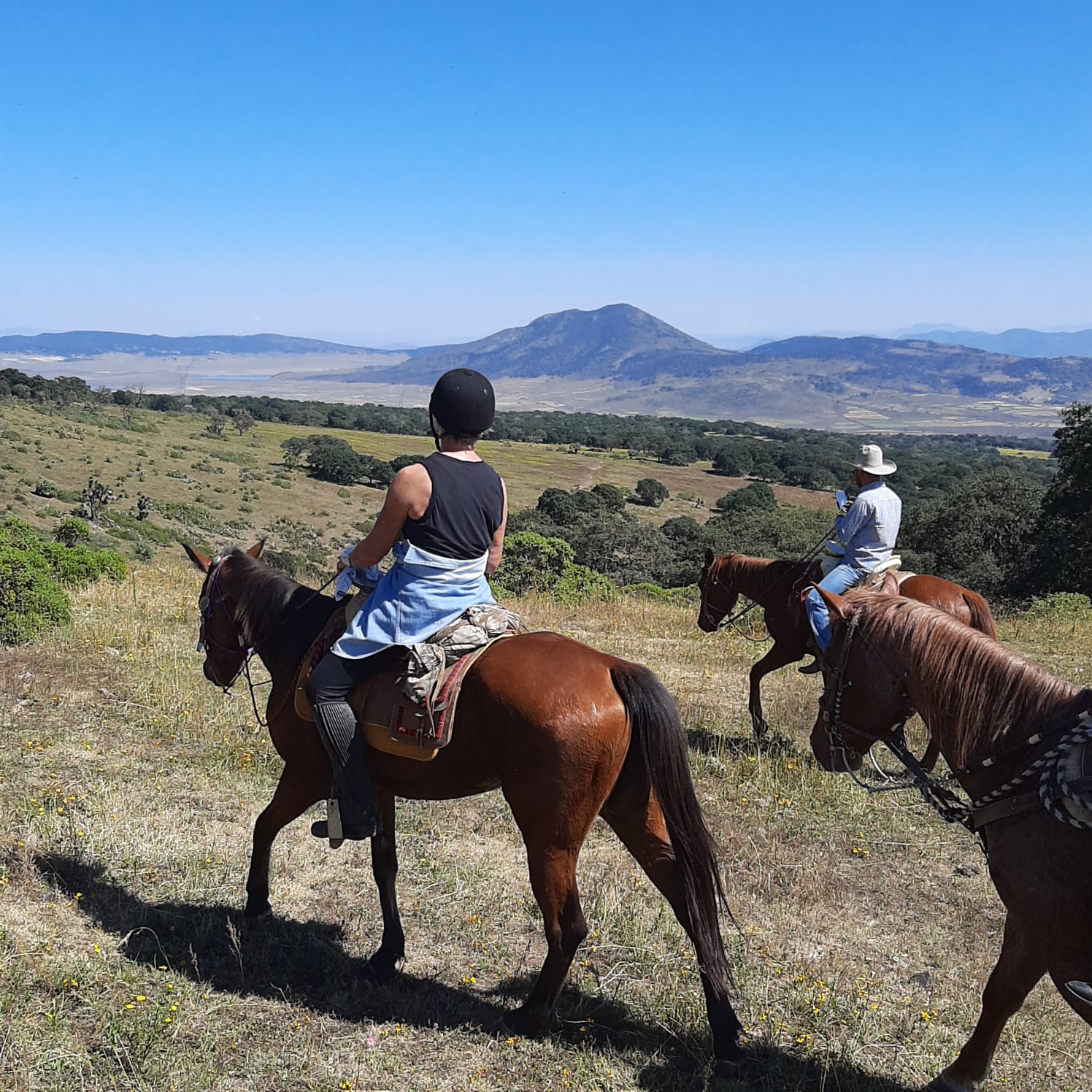 7-daagse paardrijtocht Ranch & Monarch Sanctuary - Mexico - Afbeelding 5