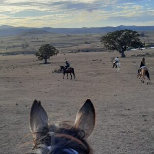 6-daagse paardrijtocht Hidalgo - Mexico - Afbeelding 18