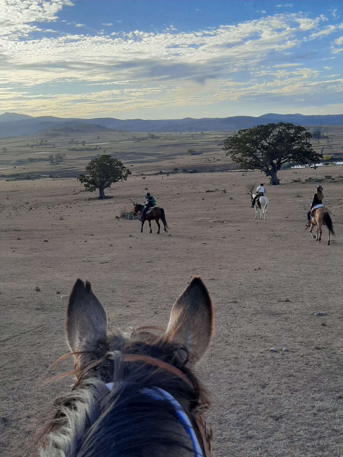 6-daagse paardrijtocht Hidalgo - Mexico - Afbeelding 18