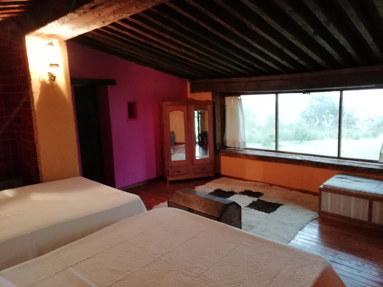 7-daagse paardrijtocht Ranch & Monarch Sanctuary - Mexico - Afbeelding 27