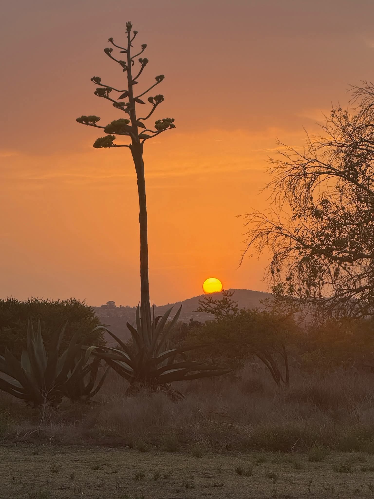 7-daagse paardrijtocht Ranch & Monarch Sanctuary - Mexico