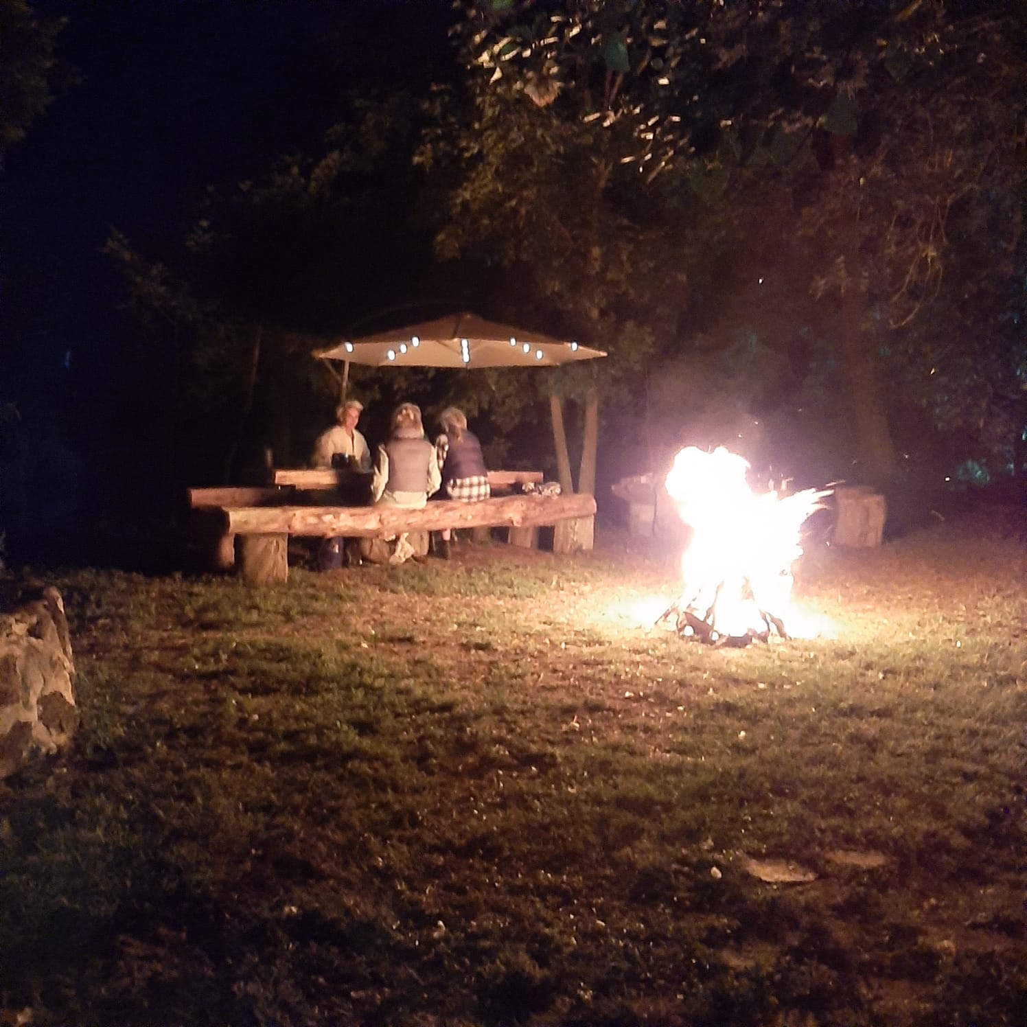 6-daagse paardrijtocht Hidalgo - Mexico - Afbeelding 11