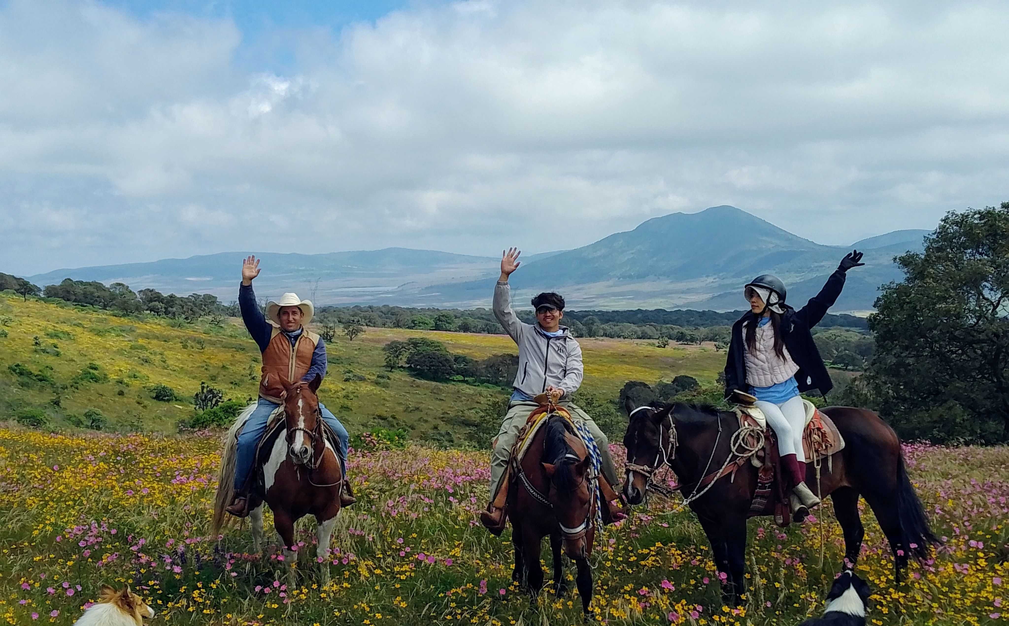 6-daagse paardrijtocht Hidalgo - Mexico - Afbeelding 4