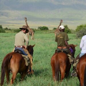 9-daagse Paardrijsafari Natron Flamingo Experience - Tanzania - Afbeelding 26