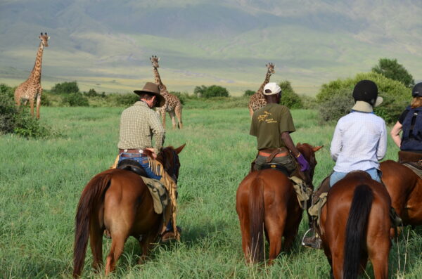 9-daagse Paardrijsafari Natron Flamingo Experience - Tanzania