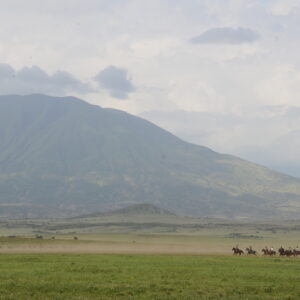 9-daagse Paardrijsafari Natron Flamingo Experience - Tanzania - Afbeelding 23