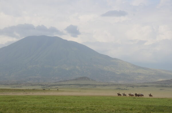 9-daagse Paardrijsafari Natron Flamingo Experience - Tanzania