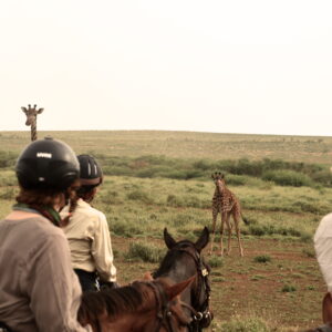 9-daagse Paardrijsafari Natron Flamingo Experience - Tanzania - Afbeelding 21