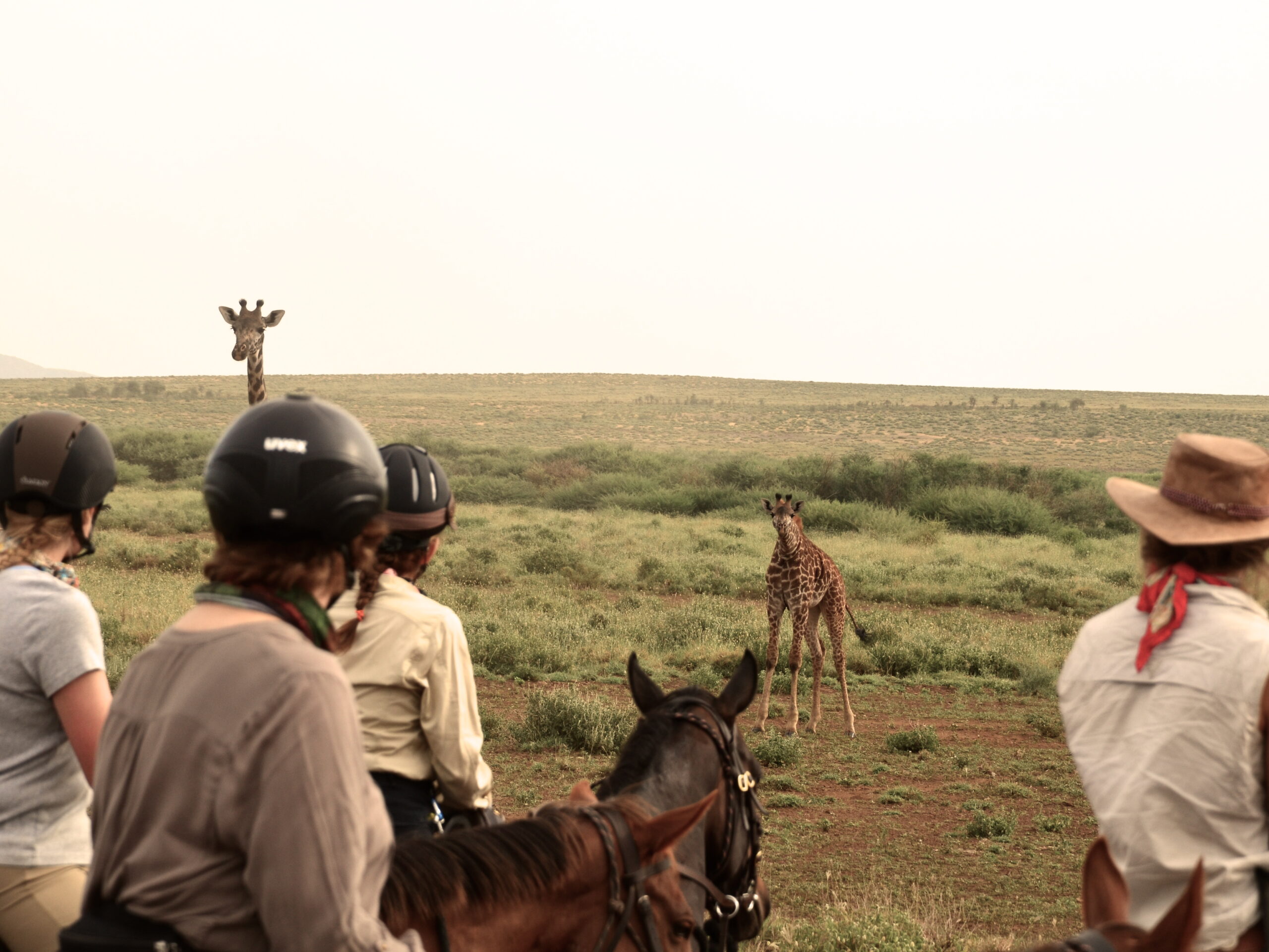 9-daagse Paardrijsafari Natron Flamingo Experience - Tanzania - Afbeelding 21