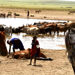 9-daagse Paardrijsafari Natron Flamingo Experience - Tanzania - Afbeelding 20