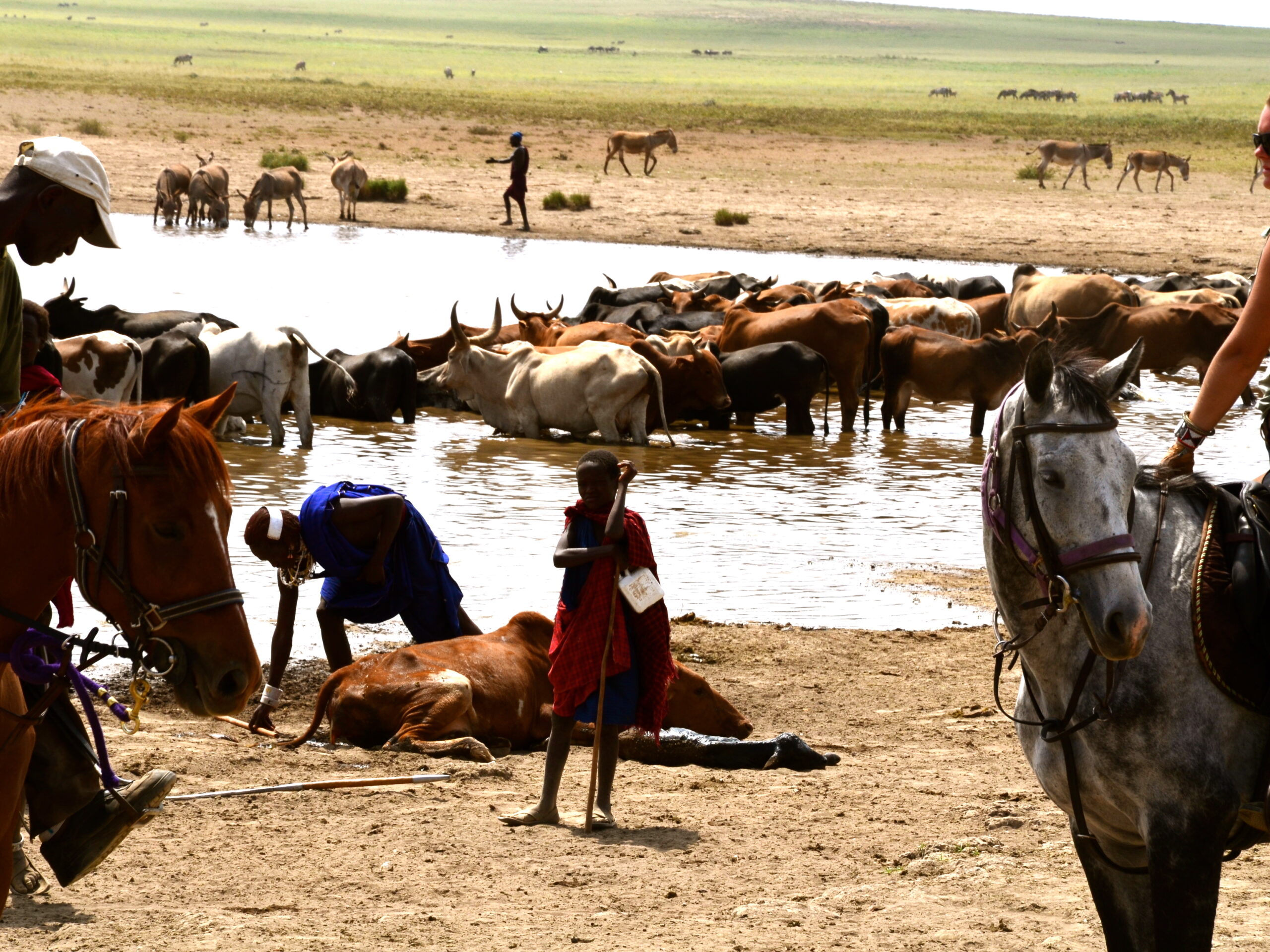 9-daagse Paardrijsafari Natron Flamingo Experience - Tanzania - Afbeelding 20