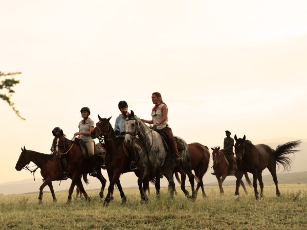 9-daagse Paardrijsafari Natron Flamingo Experience - Tanzania