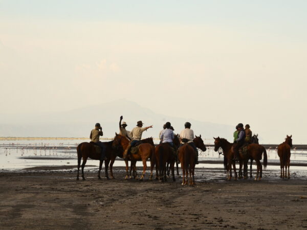 9-daagse Paardrijsafari Natron Flamingo Experience - Tanzania