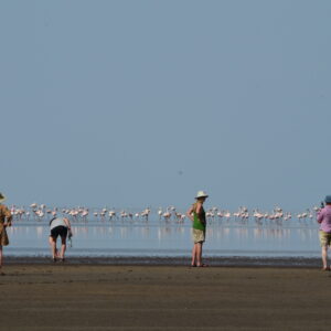 9-daagse Paardrijsafari Natron Flamingo Experience - Tanzania - Afbeelding 8