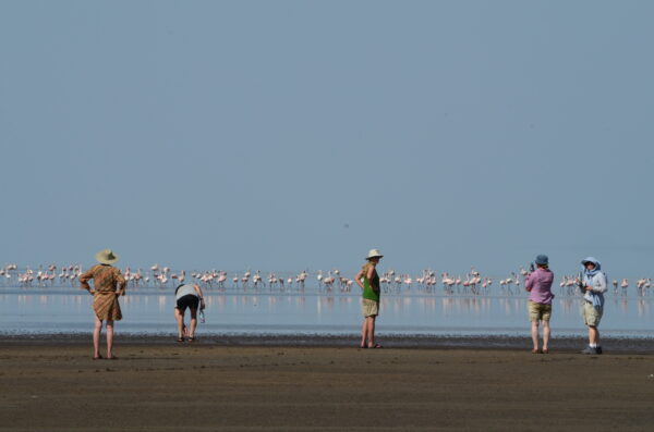 9-daagse Paardrijsafari Natron Flamingo Experience - Tanzania