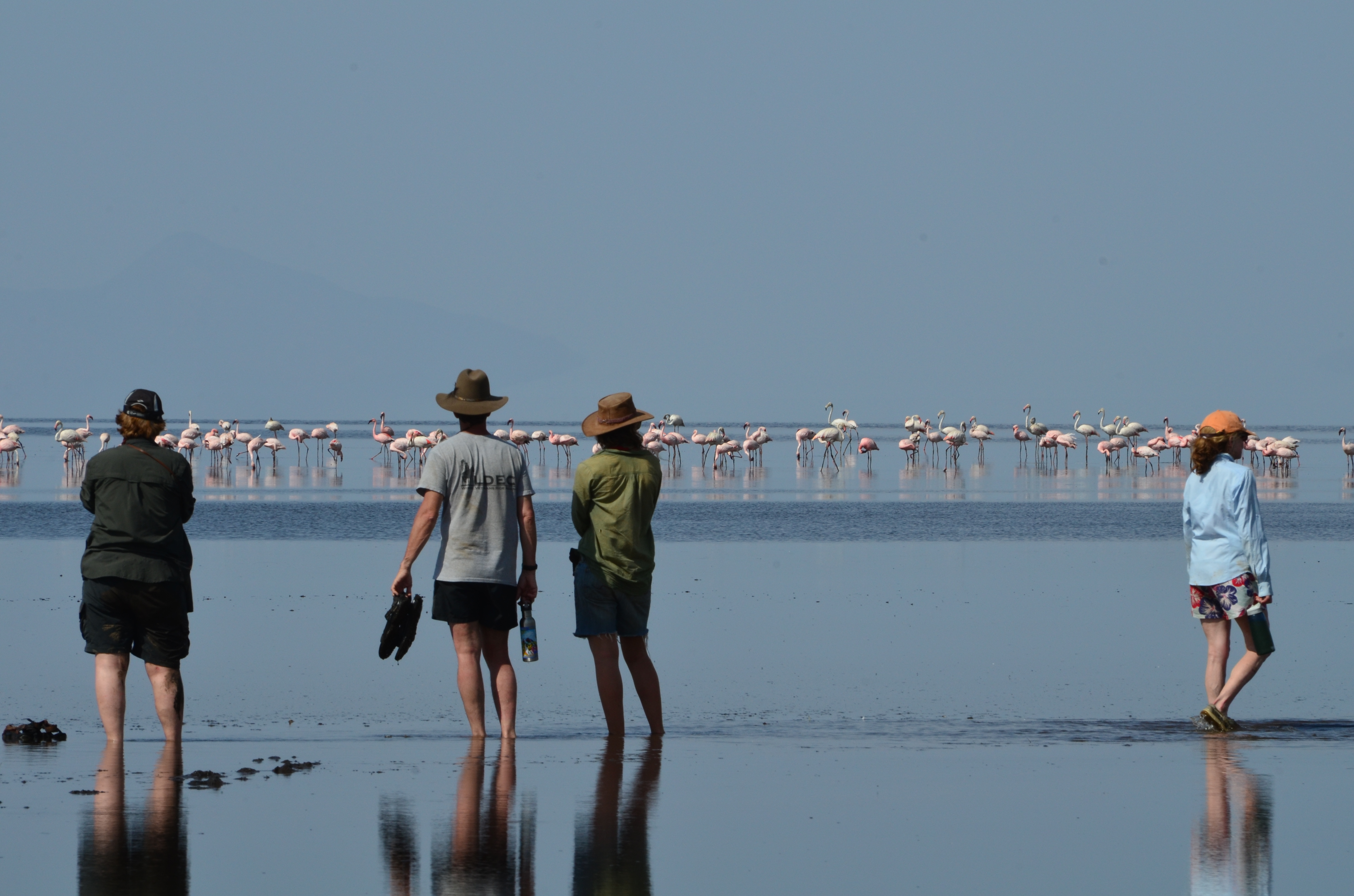 9-daagse Paardrijsafari Natron Flamingo Experience - Tanzania - Afbeelding 6