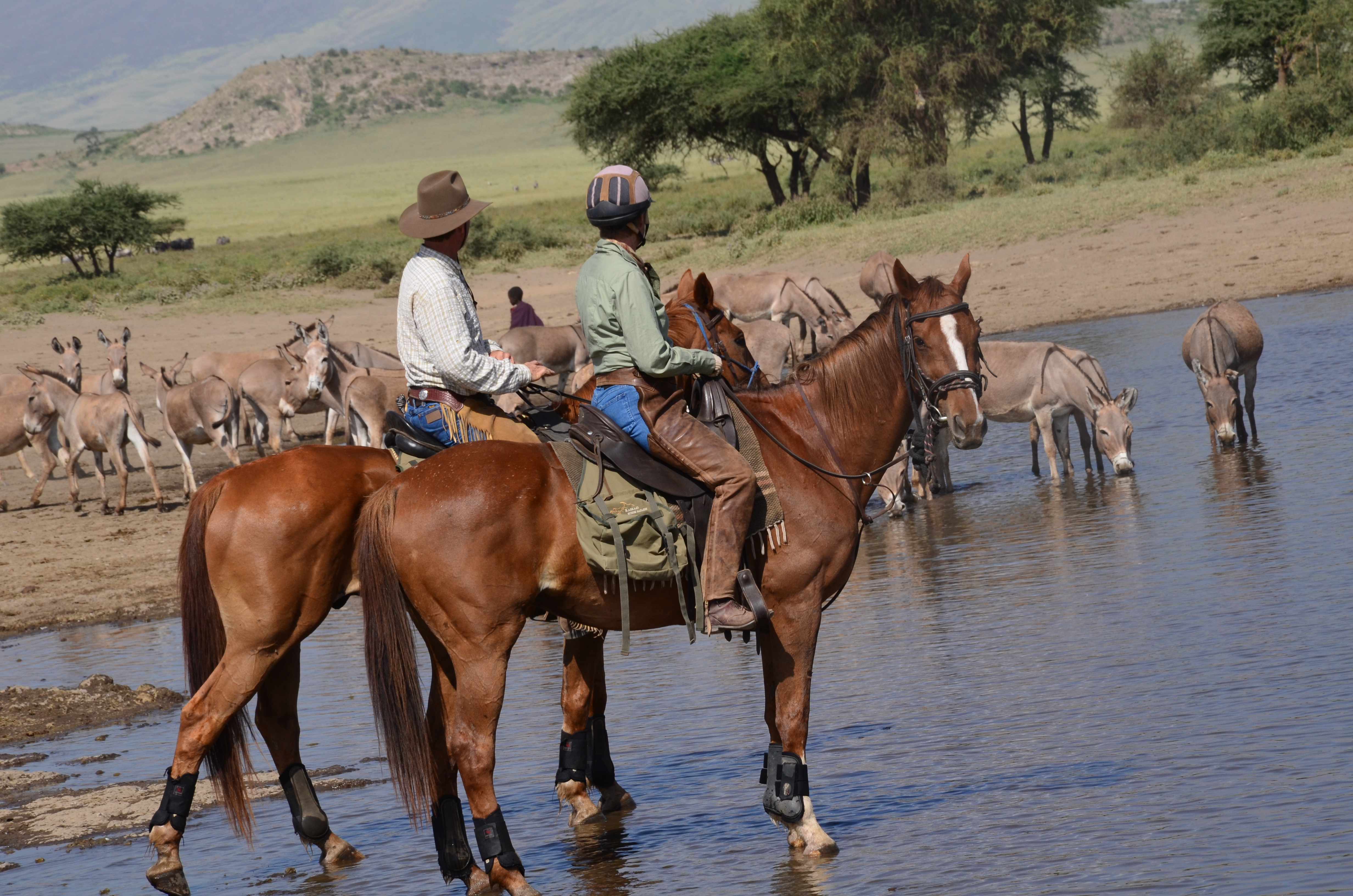 9-daagse Paardrijsafari Natron Flamingo Experience - Tanzania - Afbeelding 4