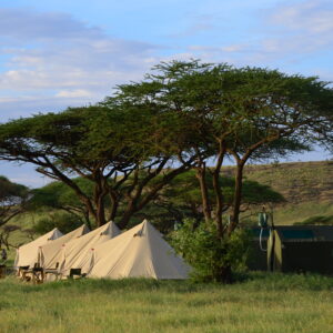 9-daagse Paardrijsafari Natron Flamingo Experience - Tanzania - Afbeelding 28