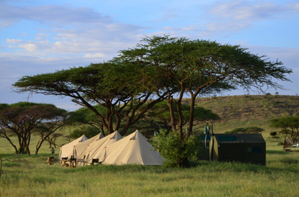 9-daagse Paardrijsafari Natron Flamingo Experience - Tanzania
