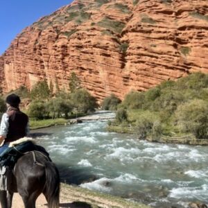 11-daagse paardrijtocht door het Karakol Nationaal Park - Kirgizië - Afbeelding 9