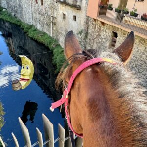 8-daagse paardrijtocht door kloven, tafelbergen en vulkanisch landschap in Catalonië - Spanje - Afbeelding 8