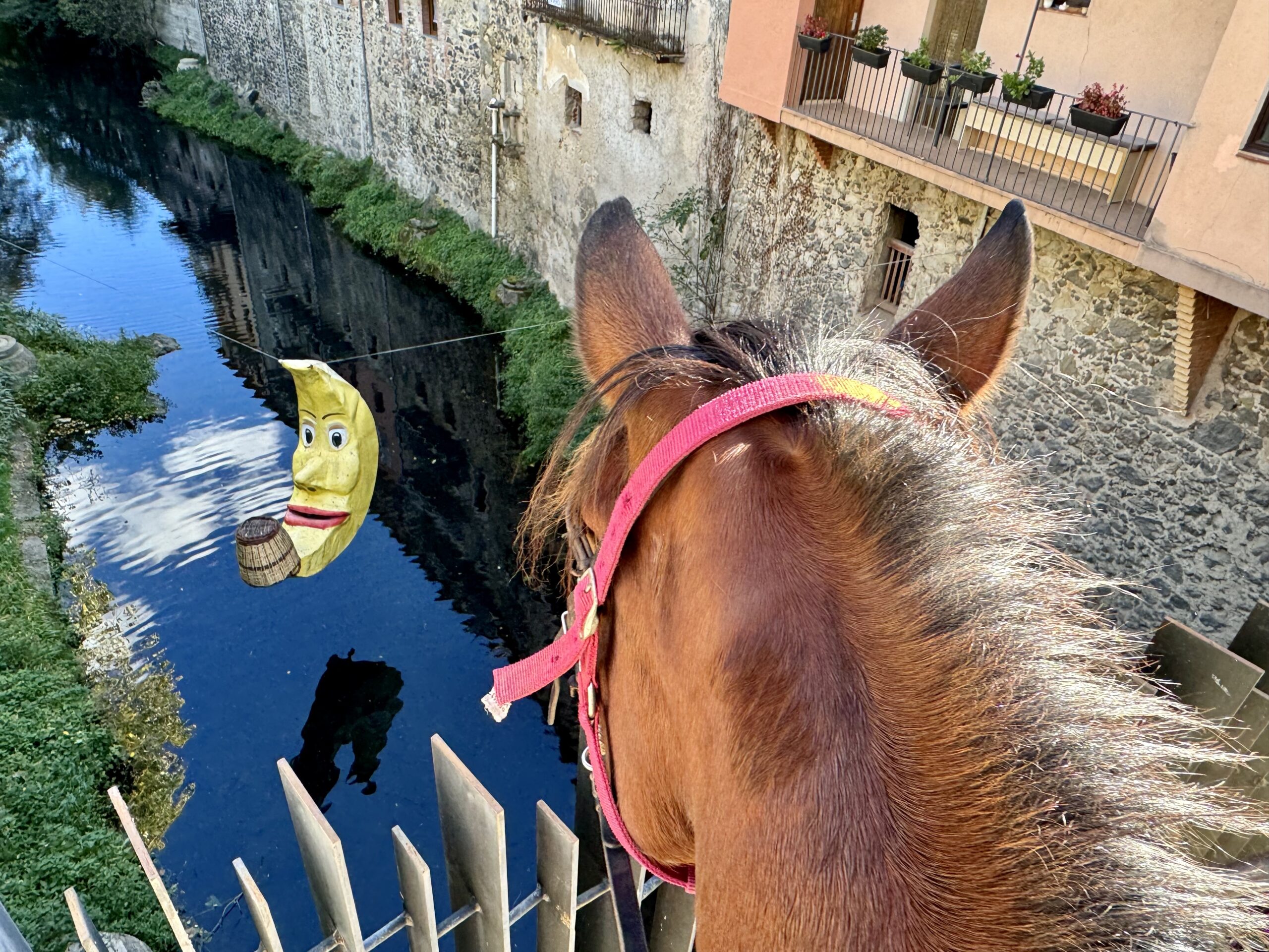 8-daagse paardrijtocht door kloven, tafelbergen en vulkanisch landschap in Catalonië - Spanje - Afbeelding 8